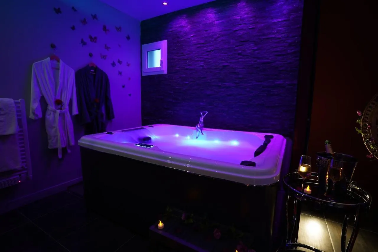 Spa Prive Et Piscine Chauffee A 8 Km De Toulouse Montrabe Holiday home